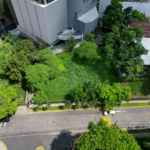 Terreno el cangrejo 2