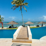 DJI 20241211 111019 354