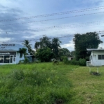 WhatsApp Image 2025 05 13 at 1.59.35 PM