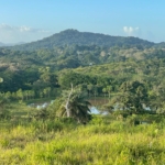 WhatsApp Image 2025 05 13 at 1.59.36 PM