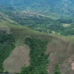 WhatsApp Image 2025 07