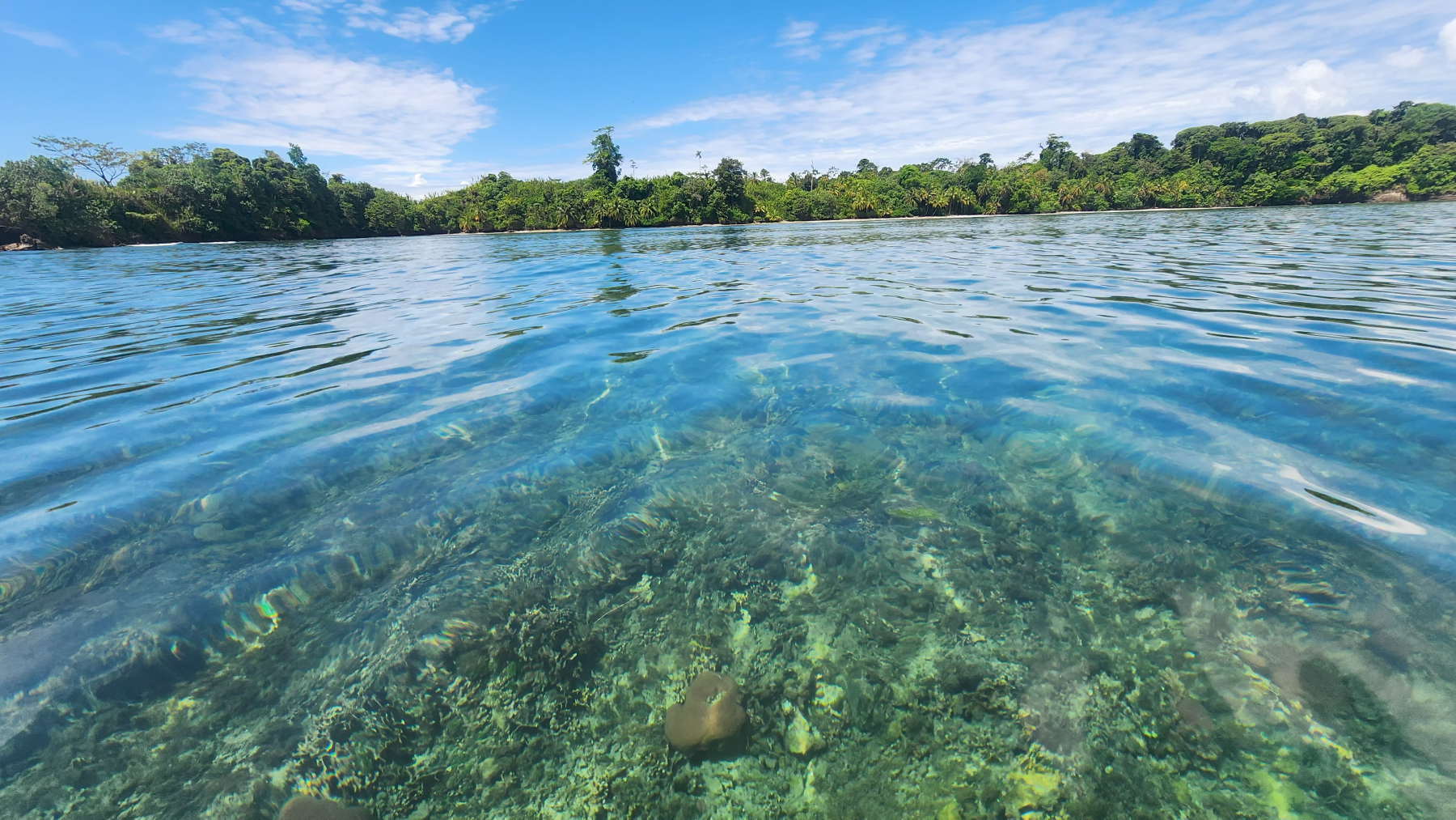 Isla Cayo Agua (1.)