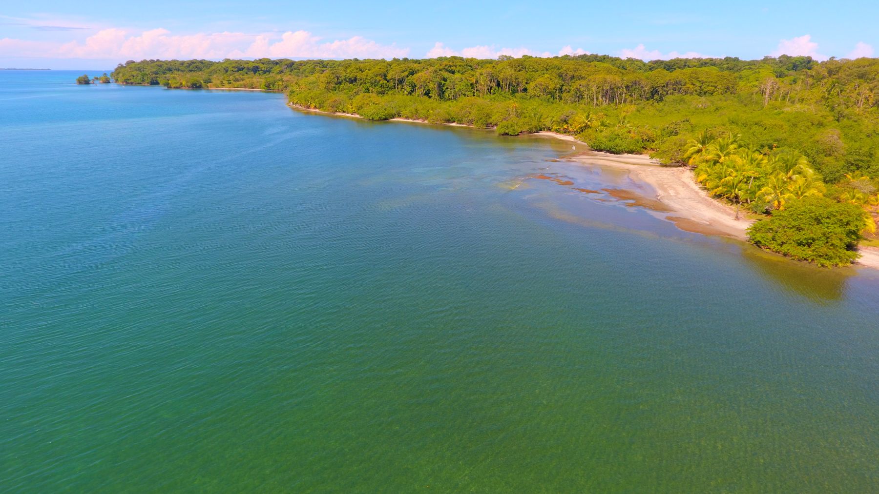 Isla Cayo Agua (15)