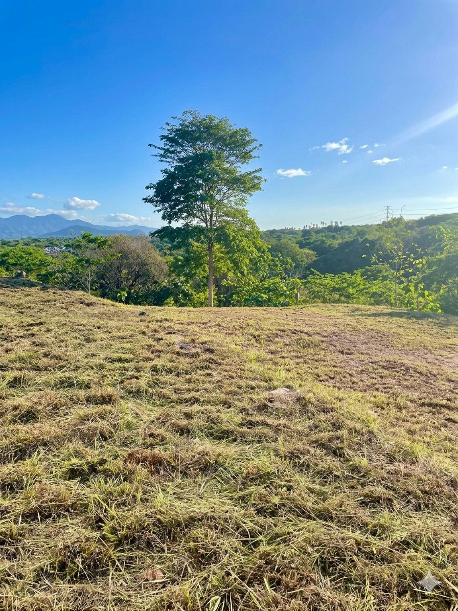 Terreno en El Espino (5)